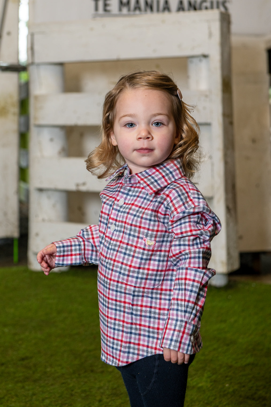 Molly Flannel