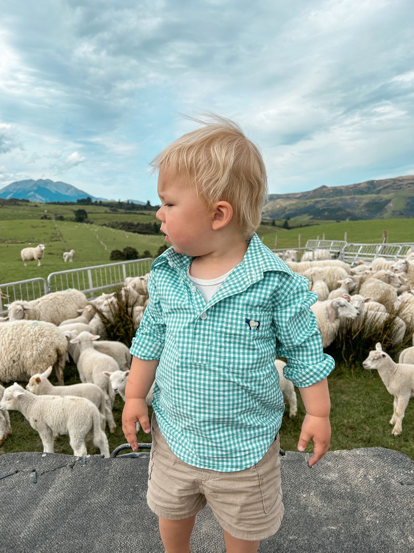 Noah Summer Cotton