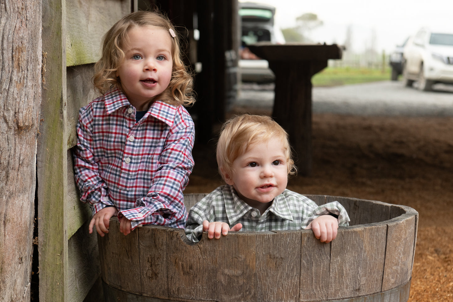 Meadow Flannel