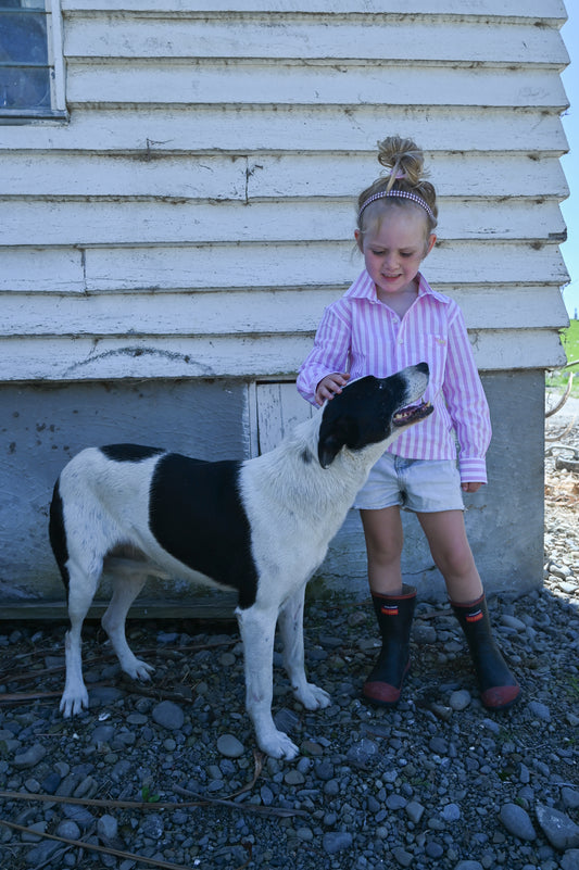 Bella Summer Cotton